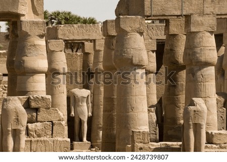 Great court of ramses ii, luxor temple, luxor, thebes, unesco world heritage site, egypt, north africa, africa Royalty-Free Stock Photo #2428739807