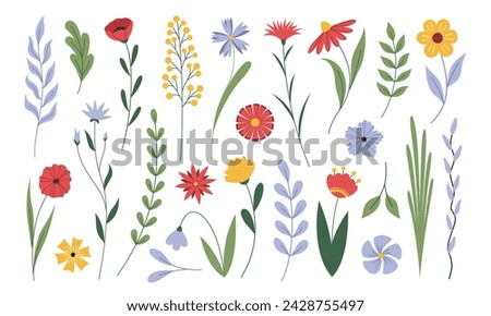 Vector set of flowers isolated on white background