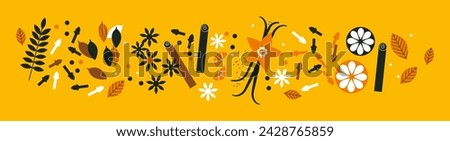 Spices and herbs collection. Abstract horizontal banner with colorful doodles. Cardamom, brown anise flower, cinnamon, vanilla, cloves, pepper. Spices for baking and cooking. Bright backdrop Royalty-Free Stock Photo #2428765859