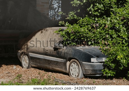 Black and green abandoned car in a barn. Windows cover with red dust and sand. Windscreen and bonnet cloaked in a tree. Corroded paint work. Sunlight and shadows. Faded plastic trim. Flat tyre. Royalty-Free Stock Photo #2428769637