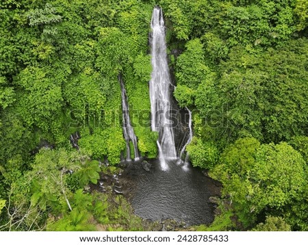 Banyumala twin waterfalls in a green rainforest drone view