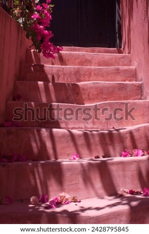 Colourful pink steps in the old town section of hania (chania) (xania), crete, greece, europe Royalty-Free Stock Photo #2428795845