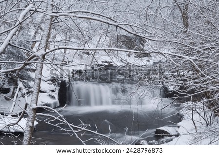A waterfall in winter surrounded by snow covered trees, rensselaerville, new york state, united states of america, north america