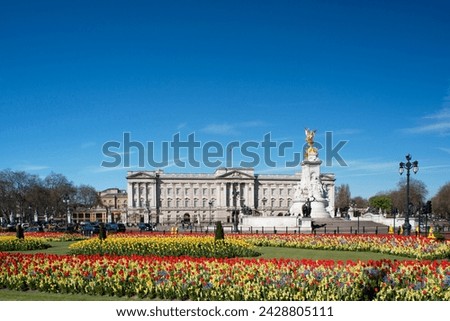 Red and yellow tulips growing in front of buckingham palace in april. london, england, united kingdom, europe