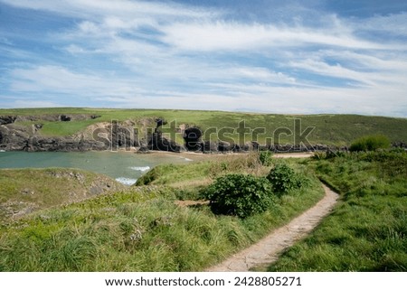 A cliff path near porthcothan bay, cornwall, england, united kingdom, europe