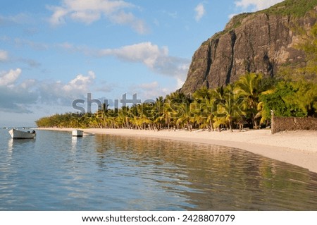 Late afternoon reflections of le morne brabant and palm trees in the sea, le morne brabant peninsula, south west mauritius, indian ocean, africa