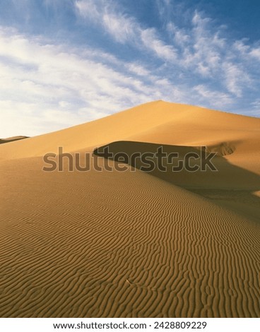Sand dunes, grand erg occidental, sahara desert, algeria, north africa, africa Royalty-Free Stock Photo #2428809229