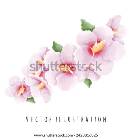 Travel Collection, South Korea, Rose Of Sharon, Watercolor Element Vector Illustration