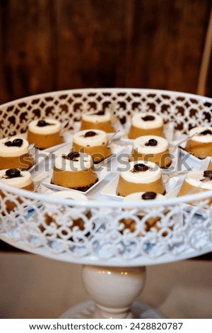 Mini bite-sized tiramisu canapè cakes, decorated with coffee bean and chocolate powder, served on vintage serving platter Royalty-Free Stock Photo #2428820787
