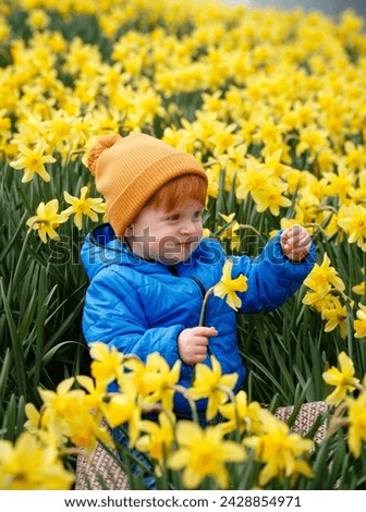 Boy in field of daffodils