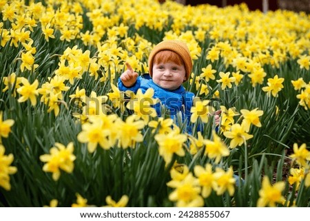Concentrated little boy  is walking on a blooming meadow and picking up white daffodils flowers