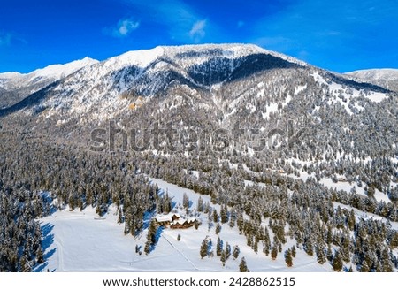 Aerial view traffic road through the snowy mountains with pine trees