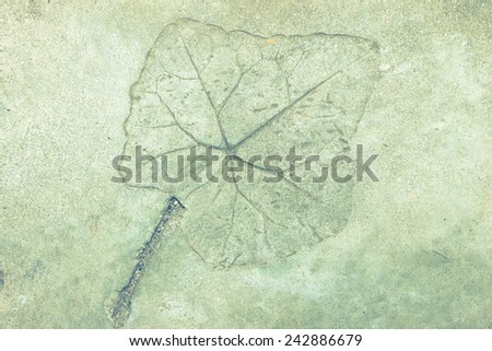 Leaf Concrete Stamp texture for background in black, green and white colors.