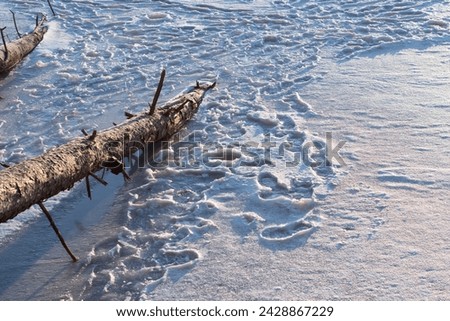 Fresh ice foot prints, frozen lake, dangerous ice theme, copy space image