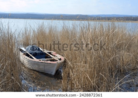 Wooden old white boat dinghy among the reeds in winter by the lake. Igneada national park, Mert Lake in Winter. Turkey. 2024. Dinghy rests at anchor in quiet water. Old Wooden Boat. Reeds and boat.