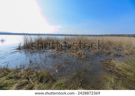 Wooden old white boat dinghy among the reeds in winter by the lake. Igneada national park, Mert Lake in Winter. Turkey. 2024. Dinghy rests at anchor in quiet water. Old Wooden Boat. Reeds and boat.