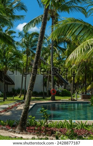 Escape to paradise: A tranquil pool oasis surrounded by palm trees, beckoning guests to indulge in the ultimate summer getaway in Mauritius. Selective focus.