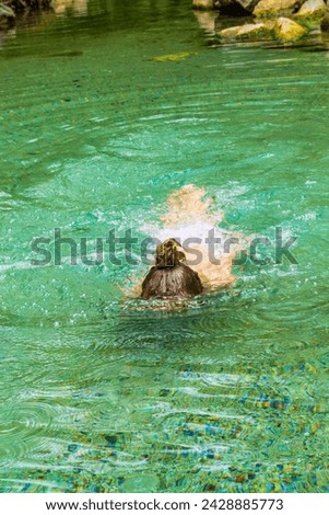 Little girl swim in pure mountain spring,Picture taken on July 11th 2014,Rhodopes mountain,Bulgaria.She is now a 17 year old teenager