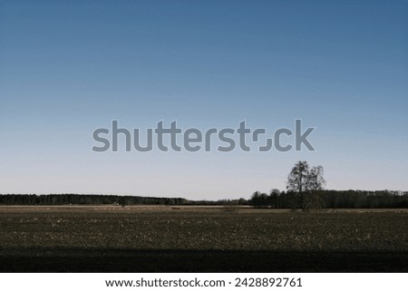 landscape with empty field, some trees far away and clear blue sky
