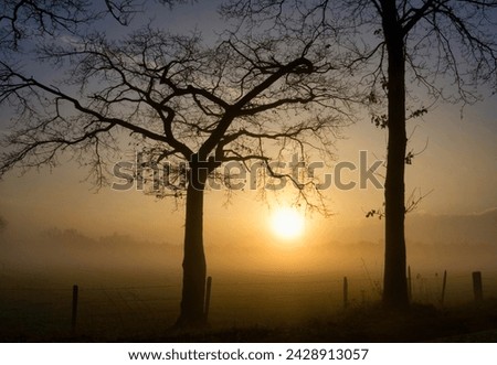 Sunset seen through some trees near Heeten Royalty-Free Stock Photo #2428913057