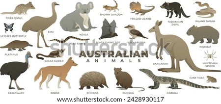 Australian wild animal set. Including kangaroo, koala, quokka, tasmanian devil, dingo. Vector illustration of wildlife. Animals of Australia isolated on white background. Royalty-Free Stock Photo #2428930117