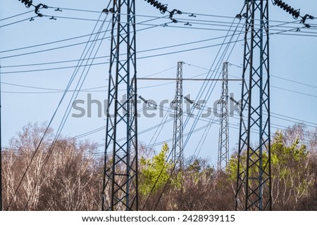 High voltage power lines by a forest.