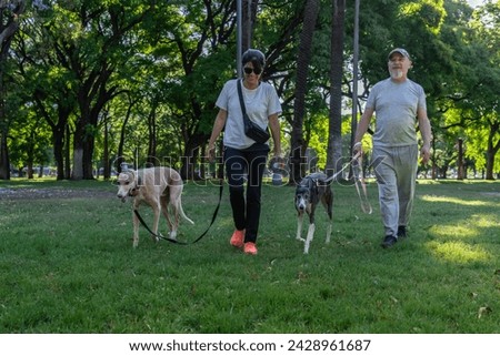 Middle-aged man and woman take a stroll with their greyhound dogs in the park.Healthy Outdoor Lifestyle