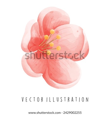 Travel Collection, South Korea,Sakura Flower, Watercolor Element Vector Illustration