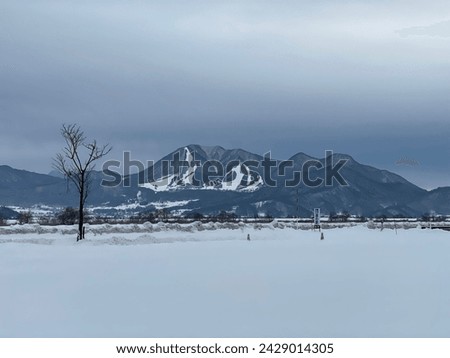 Snow Photo Shoot in Niigata Prefecture, Japan - Beautiful Winter Landscape, Snow-Covered Scenery, and Stunning Nature Views. Perfect for Winter Travel, Outdoor Adventures, and Seasonal