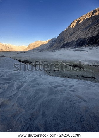 this is stunning pictur of Nubra Valley , ladhak , clicked at the time of sunset depicting awesome natural beauty of sand dunes and snow capped mountains in one frame