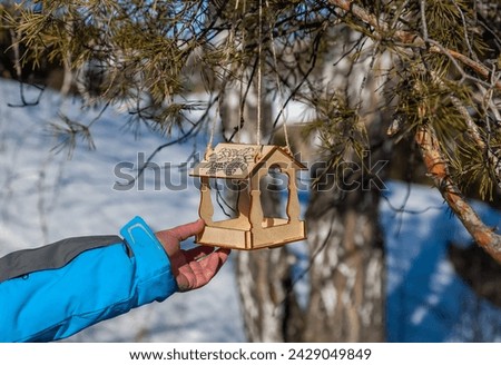 A woman's hand holds a bird feeder suspended from a pine tree, close-up in spring Royalty-Free Stock Photo #2429049849