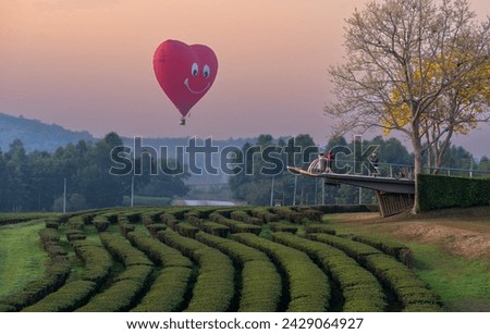 Heart-shaped hot air balloons floating in the orange sky and tea plantation. Valentine's Day concept. Beautiful colorful Valentine's day heart in the nature.