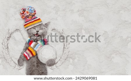 Happy cat wearing warm winter woolen hat with pompon and knitted scarf holds big snowball while lying on snow. Empty space for text