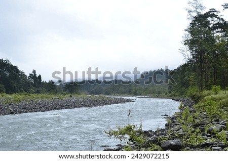 landscape and mountains, rivers flowing at the edge of the forest