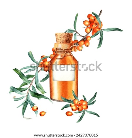 Composition with sea buckthorn and glass oil bottle with label, cork and decorative rope jute string. Hand drawn watercolor illustration isolated on white. For clip art template label