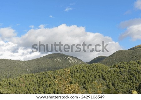 Panoramic view of the green mountains