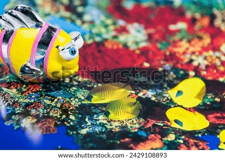 Close up of one multicolored striped fish with bulging eyeballs on photo of reef and sea life