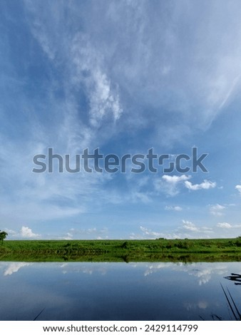 a picture of a lake, sugar cane fields and blue skies during the day