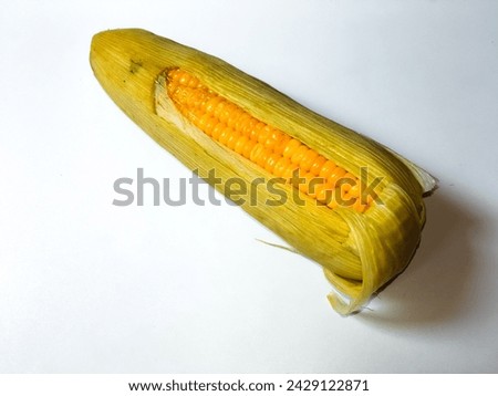  close-up of fresh and sweet cooked corn on the cob among leaves isolated on white background