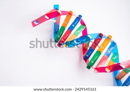 DNA or Deoxyribonucleic acid is a double helix chains structure formed by base pairs attached to a sugar phosphate backbone. Royalty-Free Stock Photo #2429145161