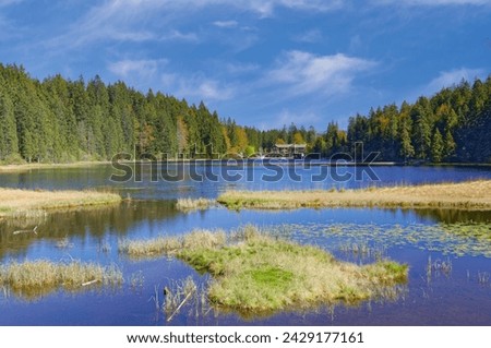 Lake Grosser Arbersee in bavarian Forest close to Bayerisch Eisenstein,Bavaria,Germany Royalty-Free Stock Photo #2429177161