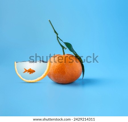 this ia an orange fruir image
