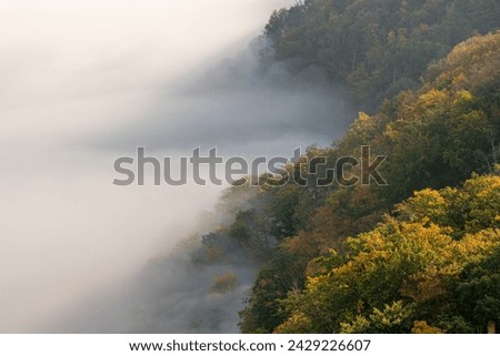 Low clouds in valley, misty landscape above the forest, autumn picture