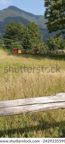 A field in the Italian Alps of Comano with a picture and beehive boxes.in the year 20.7.2023
