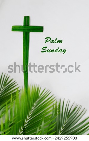 Palm Sunday concept. With palm leaves isolated on white background. copy space,  Happy Palm Sunday. Christianity. Royalty-Free Stock Photo #2429255903