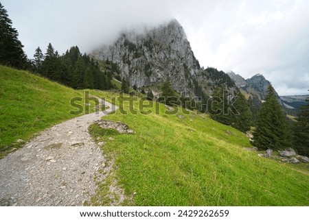 Hiking trail on the ,,Grosser Mythen" a beautiful mountain 1,898 m high in the canton of Schwyz in Switzerland.  Royalty-Free Stock Photo #2429262659