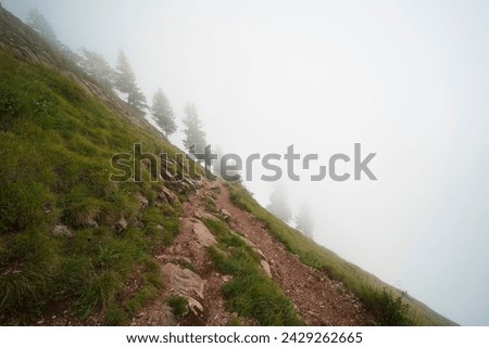 Hiking trail on the ,,Grosser Mythen" a beautiful mountain 1,898 m high in the canton of Schwyz in Switzerland.  Royalty-Free Stock Photo #2429262665