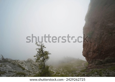 Hiking trail on the ,,Grosser Mythen" a beautiful mountain 1,898 m high in the canton of Schwyz in Switzerland.  Royalty-Free Stock Photo #2429262725