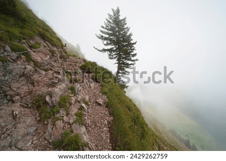 Hiking trail on the ,,Grosser Mythen" a beautiful mountain 1,898 m high in the canton of Schwyz in Switzerland.  Royalty-Free Stock Photo #2429262759