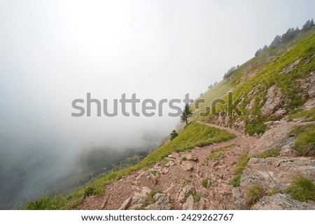 Hiking trail on the ,,Grosser Mythen" a beautiful mountain 1,898 m high in the canton of Schwyz in Switzerland.  Royalty-Free Stock Photo #2429262767
